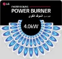 Bur1.webp